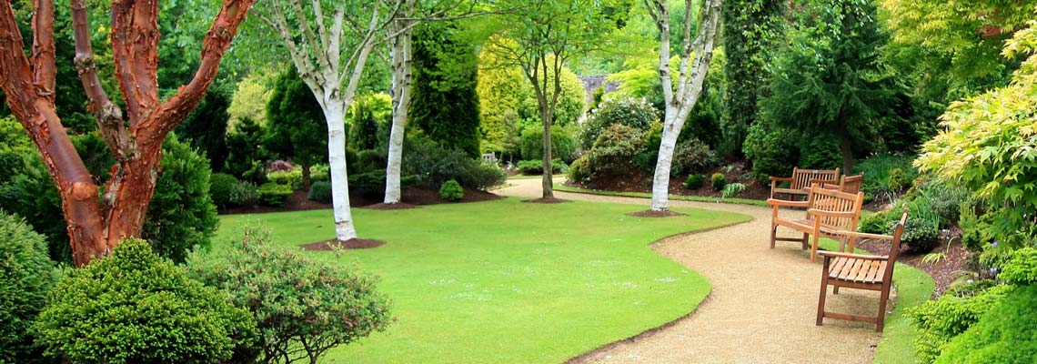 Progettazione giardini